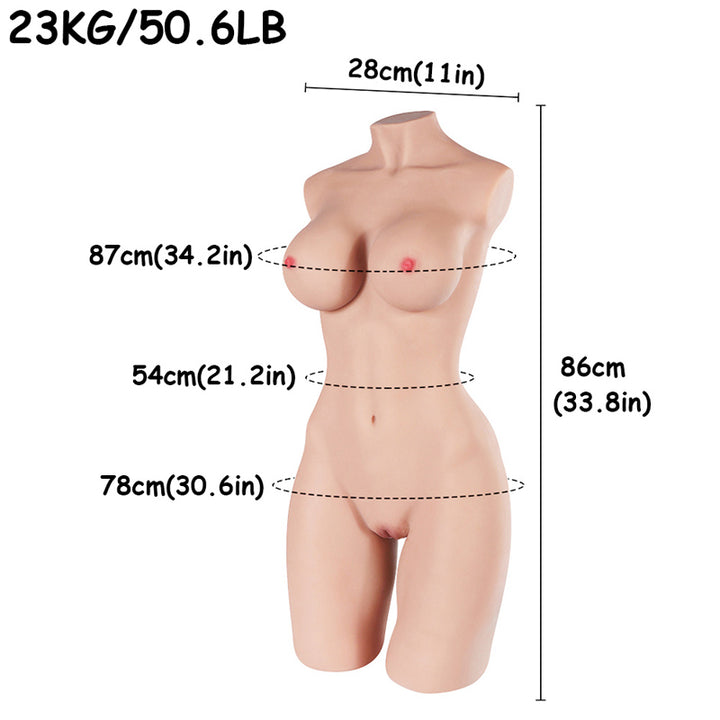 torso sex toy size